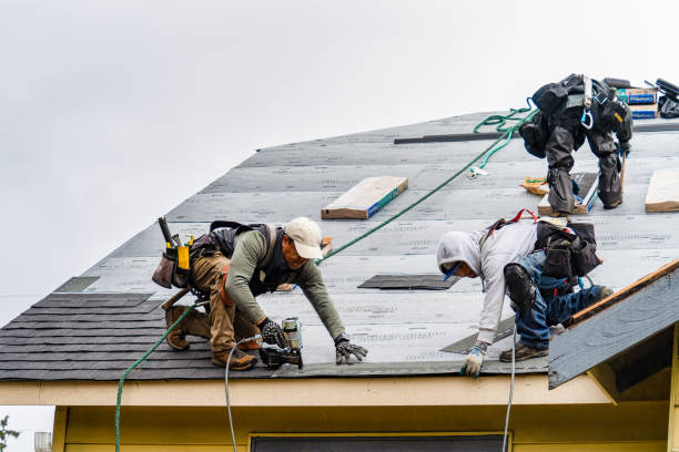 Professional Storm Damage Roof Repair technician working in Rapelje, MT